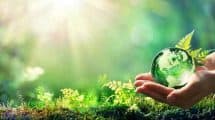 Green World Hypothesis and Sustainability