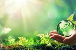 Green World Hypothesis and Sustainability
