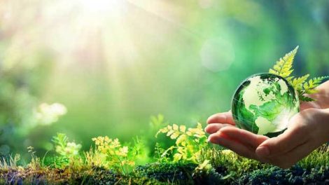 Green World Hypothesis and Sustainability