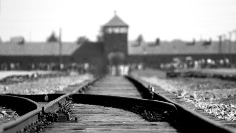 jewish diversity