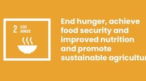 SDG 2 Zero Hunger Introduction and comprehensive guide