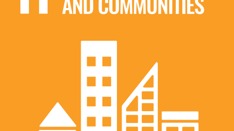 SDG 11 Best Introduction